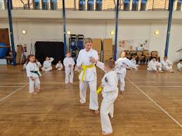 Image result for Alleyn School Of Japanese Karate