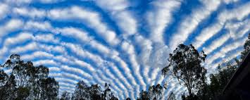Attēlu rezultāti vaicājumam “altocumulus”