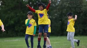 Image result for Rotherham Town Cc