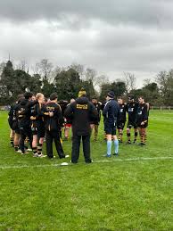 Image result for Ipswich Rfc