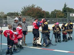 Image result for Urban Knights Inline Roller Hockey