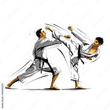 Image result for Action Karate