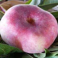 Image result for donut peach