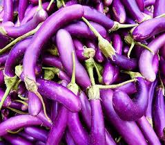 Afbeeldingsresultaat voor fengyuan purple eggplant
