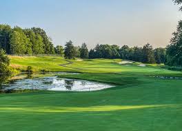 Image result for Flint Golf Club