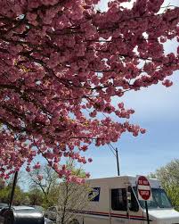 YGGDRASILL4657에 대한 이미지 검색결과