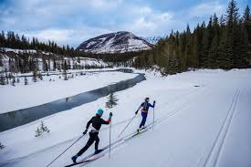 Image result for Scandinavian slope and cross country skiing