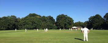 Image result for Tadworth Cricket Club