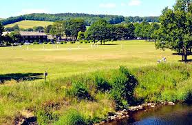 Image result for Steyning Cricket Club