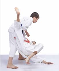Image result for AAZENTAI JU JITSU