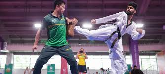 Image result for Taekwondo Athletes Program USA