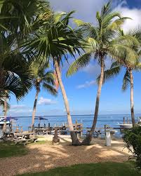 Image result for Caersws Quoits Club