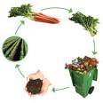 Composting: Recycling Our Food | CUESA