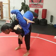 Image result for Windsor WingTsun Kung Fu School