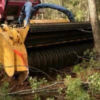 Image result for seppi tehron