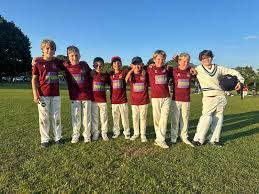 Image result for Newenden Cricket Club