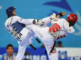Image result for Taekwondo Athletes Program USA