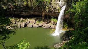 Image result for Cascada