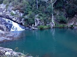 「Mt. Tamborine」的圖片搜尋結果