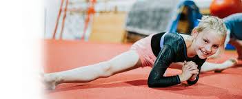 Image result for Northern Gymnastics Club CIC