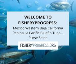 Image result for Peninsula Sub Aqua