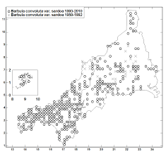 Attēlu rezultāti vaicājumam “Barbula convoluta sporophyte”