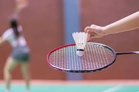 Image result for Darnills Abbey Badminton Club