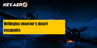 Image result for Wellington Whirlwinds Tc