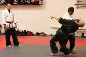 Image result for Bakewell Aikido Club