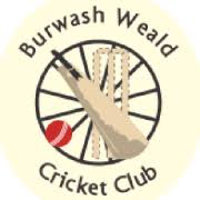 Image result for Chiddingly Cricket Club