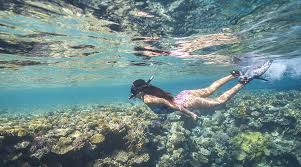 Image result for East Snorkellers