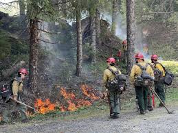 Image result for Hotshots