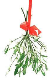 Attēlu rezultāti vaicājumam “Viscum album leaf”