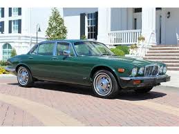 Image result for Platinum 1979 Jaguar