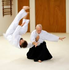 Image result for Moslin & Dewandre Aiki Dojo