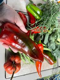 Afbeeldingsresultaat voor long red marconi sweet pepper