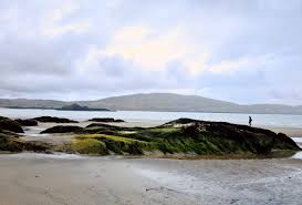 Image result for Derrynane