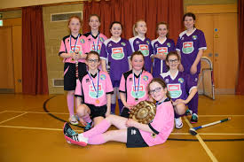 Image result for Lochcarron Camanachd