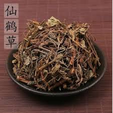 Attēlu rezultāti vaicājumam “Agrimonia pilosa”