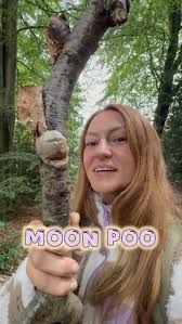 Attēlu rezultāti vaicājumam “Reticularia lycoperdon young”