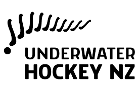 Image result for Dublin Underwater Hockey Team