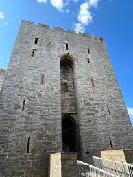 Image result for Castle Rushen Divers
