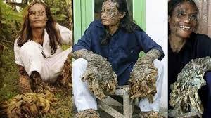 Image result for Lewandowsky-Lutz