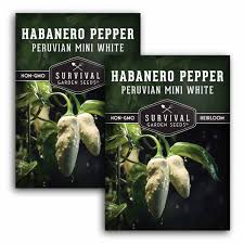 Afbeeldingsresultaat voor white habanero hot pepper