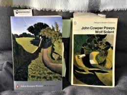 Image result for Solent Viragos