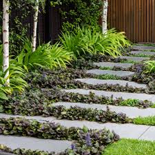 Image result for Ajuga reptans