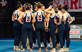 Image result for Hemsworth Odyssey Gymnastics Squad
