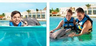 Image result for Dolphins Sheltered & Disabled Swim Club