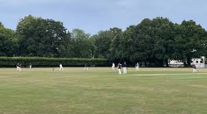 Image result for Leatherhead & Cobham Cc