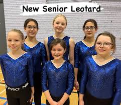 Image result for Farnham Gymnastics Club